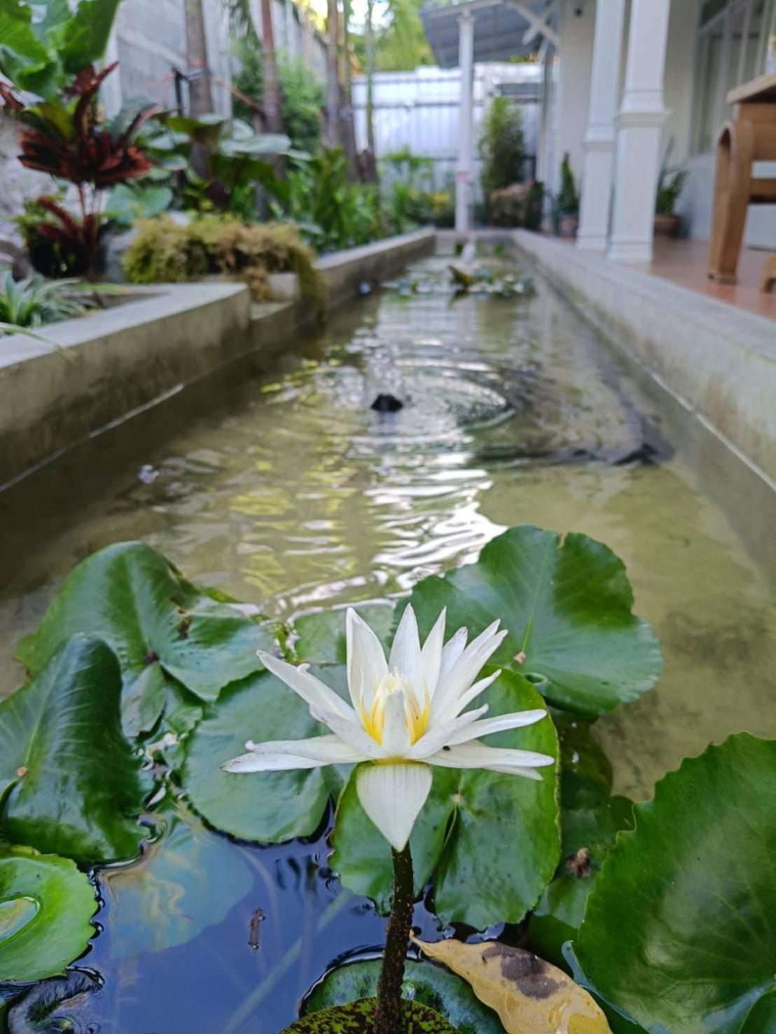Baan Debtida Hotel Bangkok Exterior photo